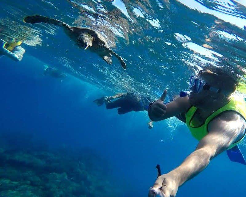 selfie haciendo snorkel junto a una tortuga en Costa Rica