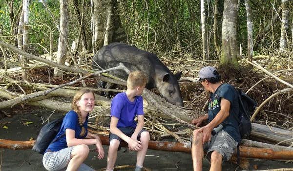 guia y viajeros jovenes viendo tapir en Corcovado