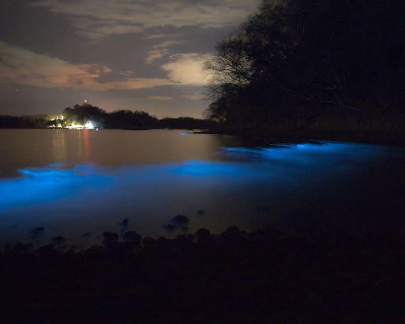 Aguas bioluminiscestes en Bahía Paquera