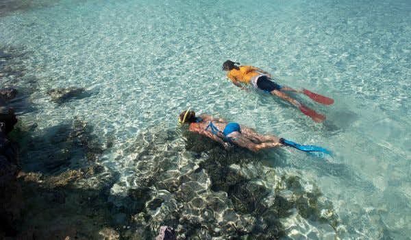 Snorkel en isla Seymour Norte