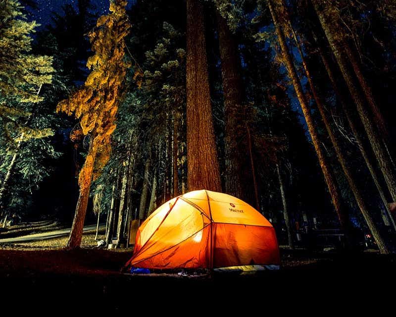 noche de camping en yellowstone bajo las estrellas