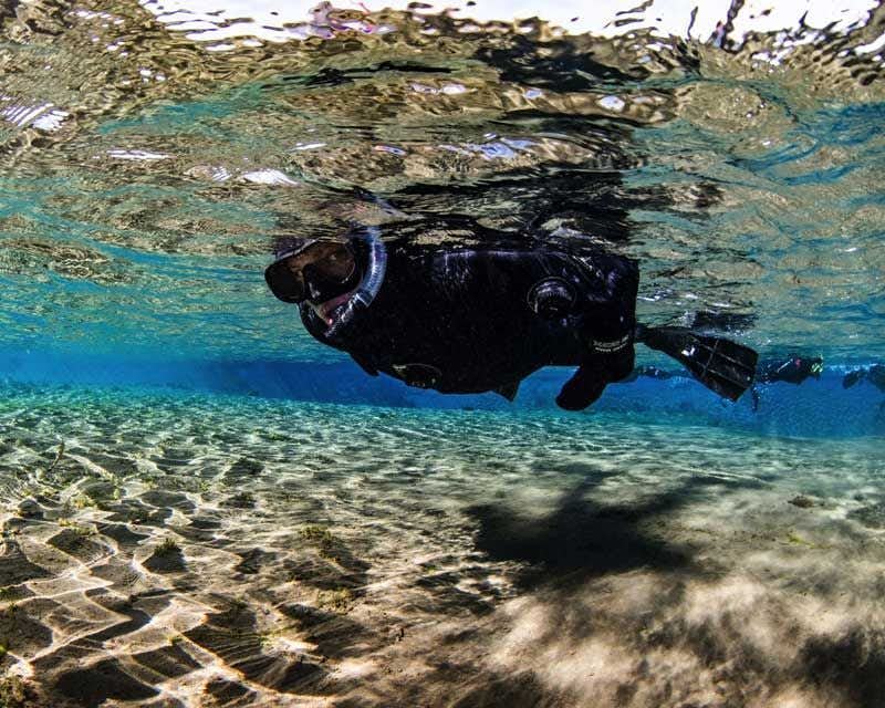 vista acuática de viajero haciendo snorkel en silfra