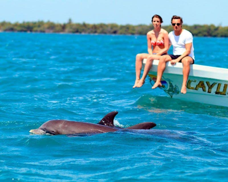 Delfín en la reserva de la biosfera de Sian Kan