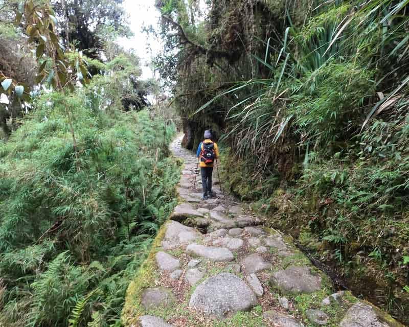 chico howlanders caminando por un sendero del camino inca