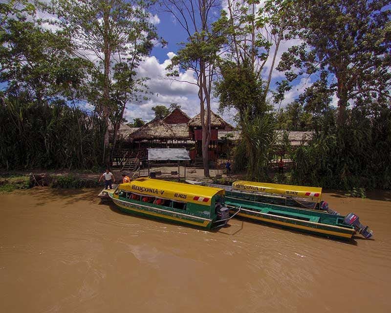 Explore the Amazon with the maximum comfort staying in a Premium Lodge with swimming pool on the banks of the river