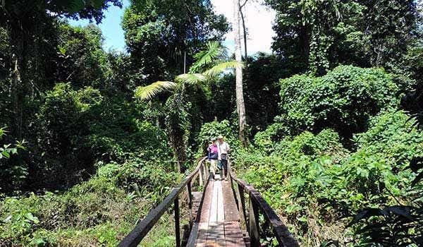 Caminata por la selva de Iquitos