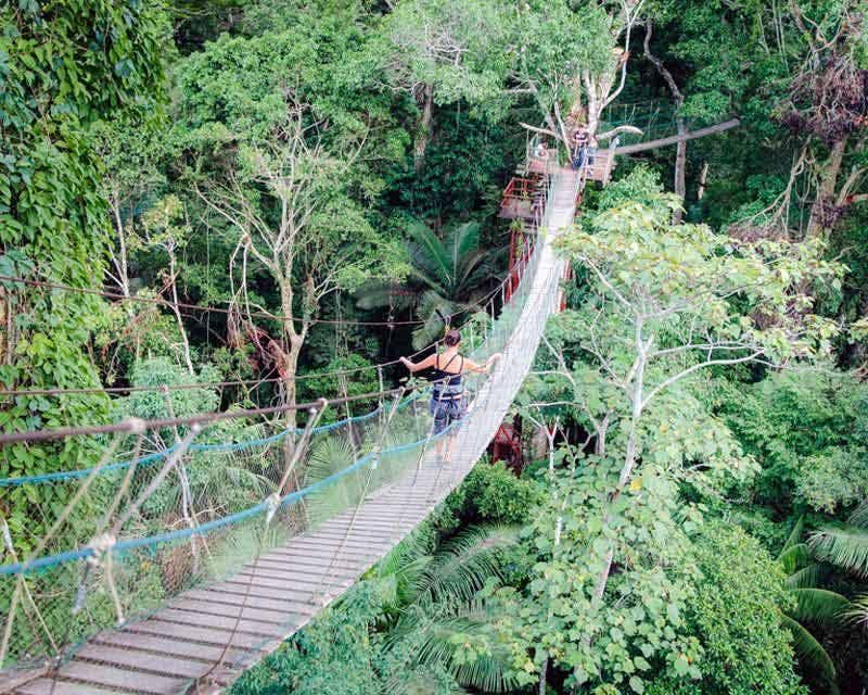 chica cruzando por el puente en la selva