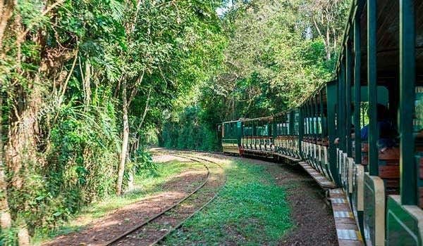balade en train dans le parc national iguazu