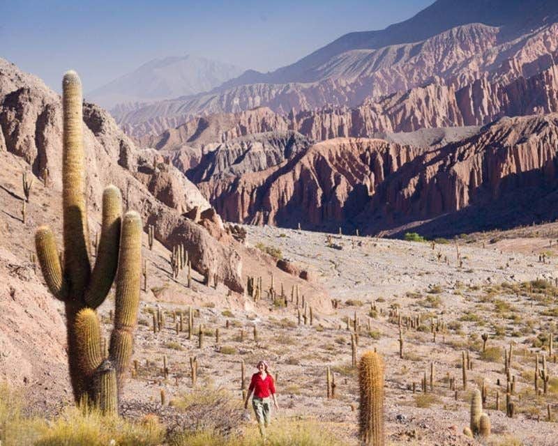 fille marchant parmi les cactus des ruines de tastil