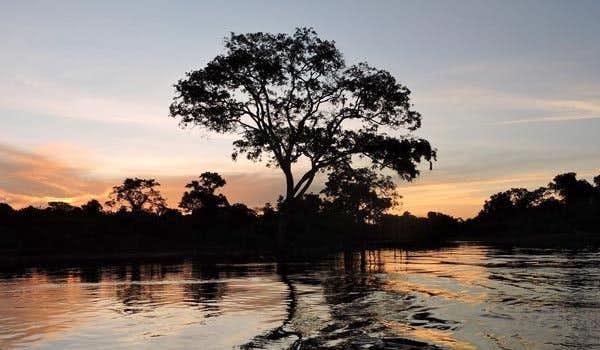 Explore the pampas of the Bolivian Amazon on the banks of the Yacuma River