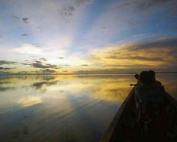 Explore Bolivia's Amazon Rainforest in Madidi National Park