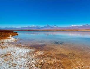 Lagune Cejar Atacama