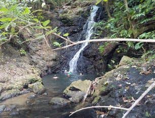 Balade Rio Claro Costa Rica
