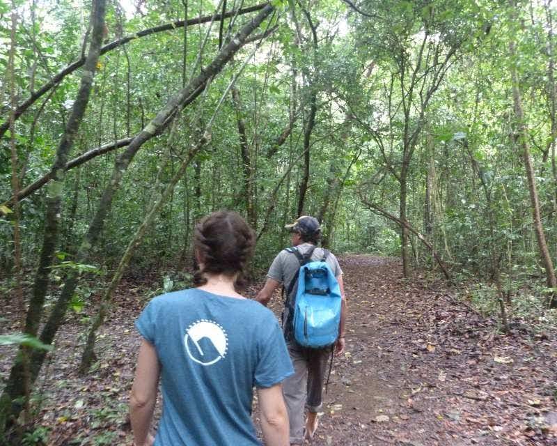 Voyageurs Howlanders marchant avec un guide dans le parc national de Corcovado