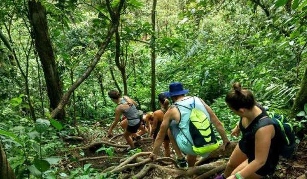 4 randonneurs dans la jungle d'Arenal