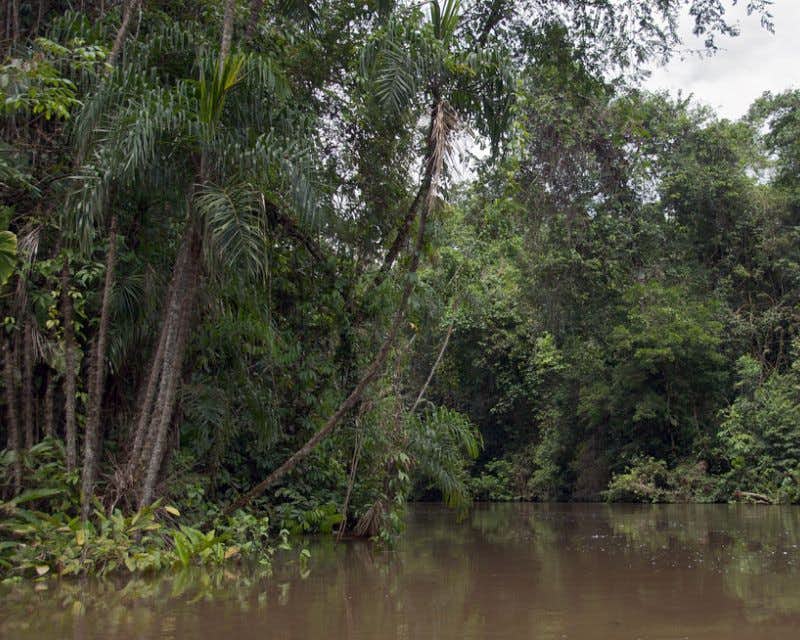 riviere cuyabeno amazonie en equateur