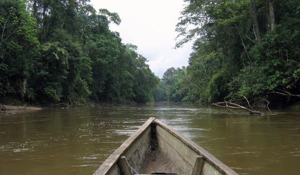 promenade en bateau riviere cuyabeno