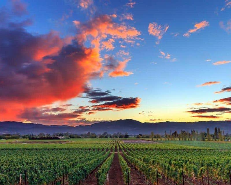 vignobles au coucher du soleil à sonoma wine country