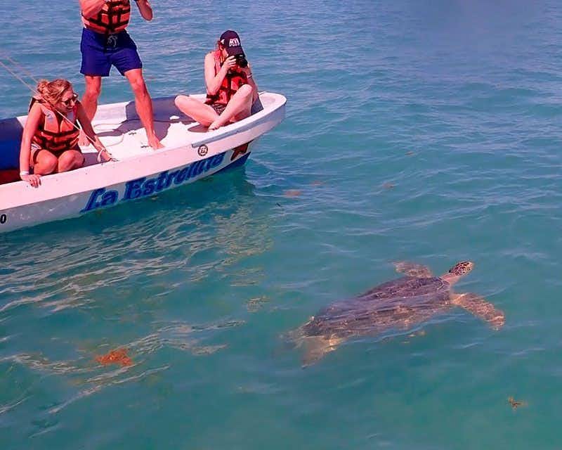 tortue de mer Grand Bahia Sian Kaan Mexique