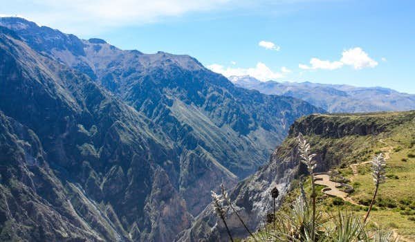 Travel through the Andean landscape and discover its culture.