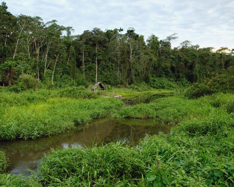 riviere et paysage au parc national de manú