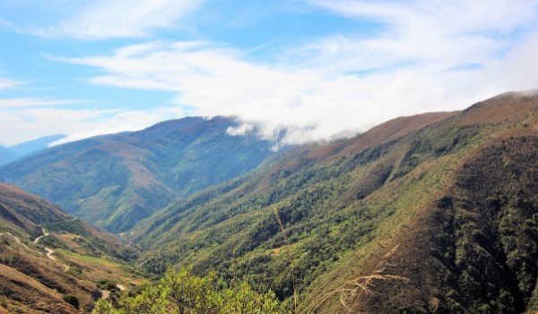 Forêt de nuages au parc national de manú