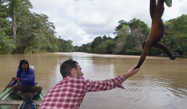 Promenade dans la jungle d'Iquitos avec des singes
