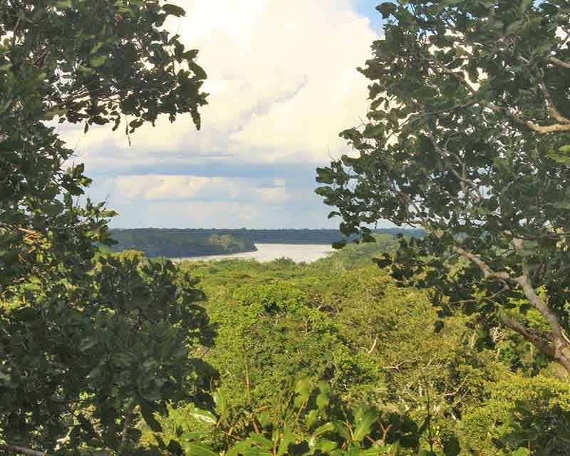 réserve nationale de tambopata