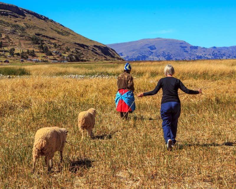 Communaute luquina perou femmesen balade avec les moutons
