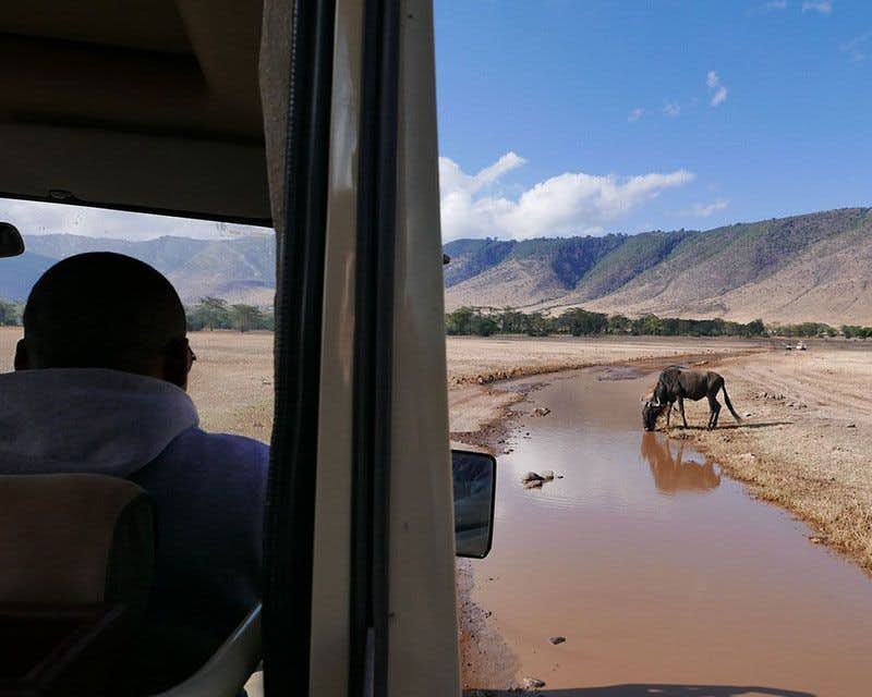 safari en 4x4 dans le cratère du ngorongongo