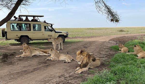 Safari au Serengeti