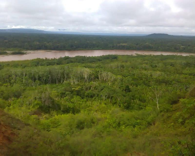 Paesaggio della foresta amazzonica