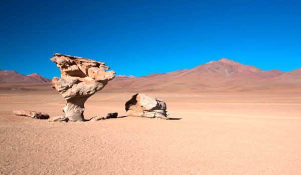 Albero di pietra nel deserto Riserva Nazionale Eduardo Avaroa