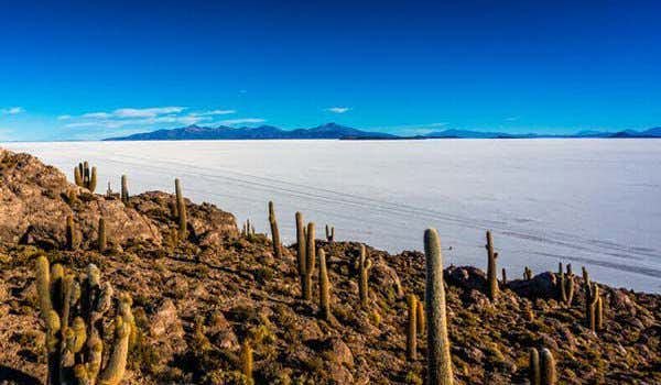 isola di incahuasi saline di uyuni bolivia