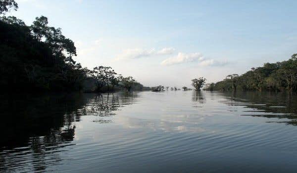 Il fiume Cuyabeno in Amazzonia