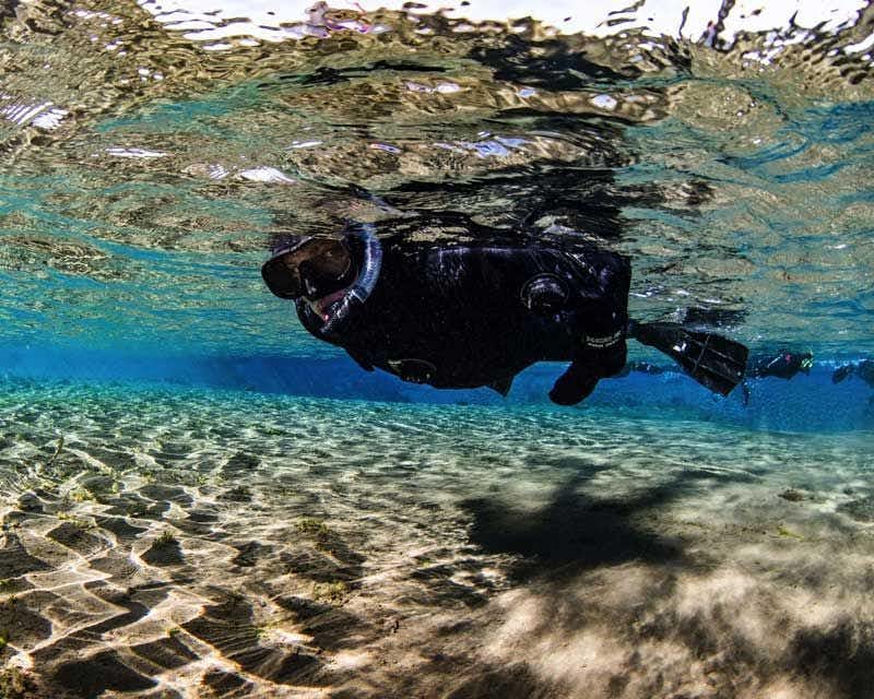 vista acquatica del viaggiatore che fa snorkeling a Silfra