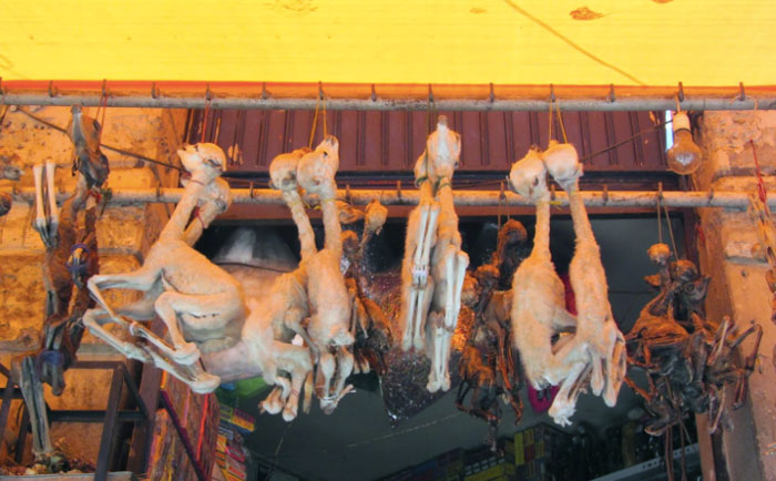Abortos de Llamas mercado de La Paz bolivia