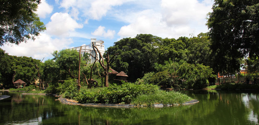 Centro de rescate en la isla de los monos de iquitos