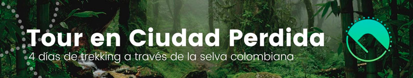 banner de tour a Ciudad Perdida en Colombia Howlanders
