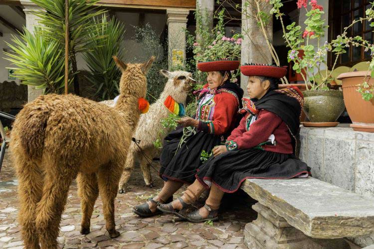 Peruvian women with llamas in cusco