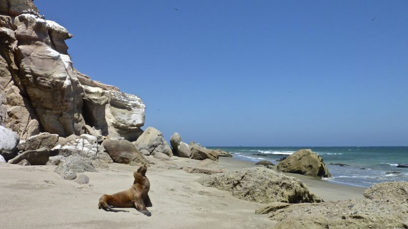 playa de cabo blanco en Perú
