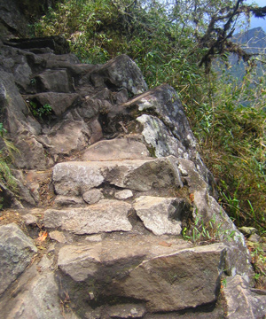 escaleras de piedra para subir a huayna picchu