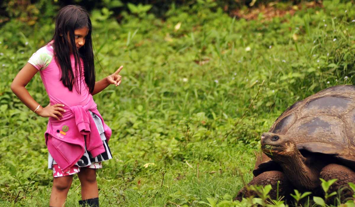 girl with a turtle in the galapagos islands