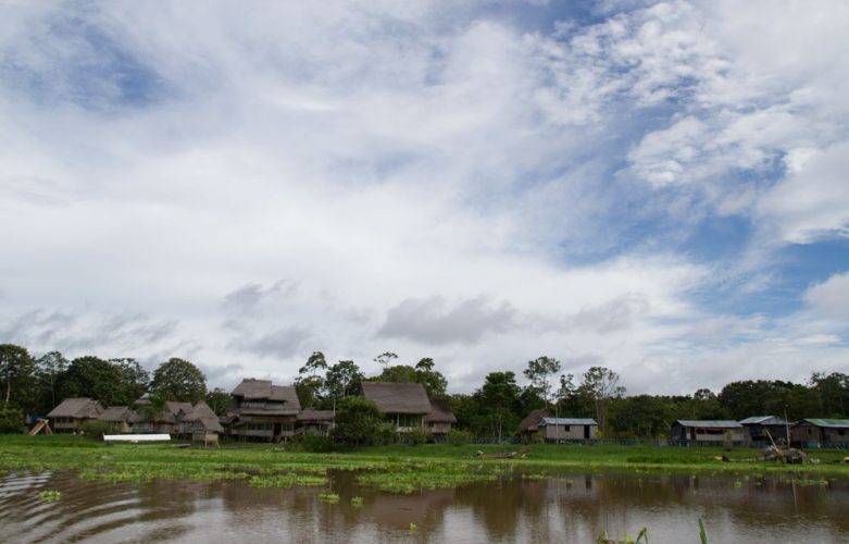 View Iquitos Jungle in Peru