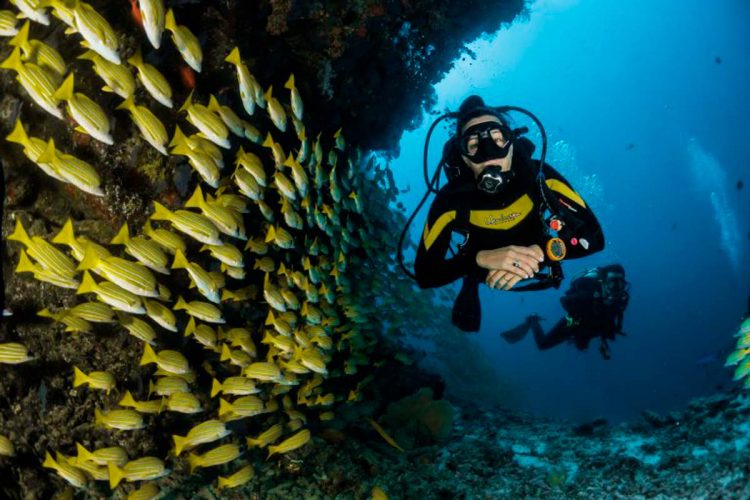 The 5 best scuba diving sites in Spain |