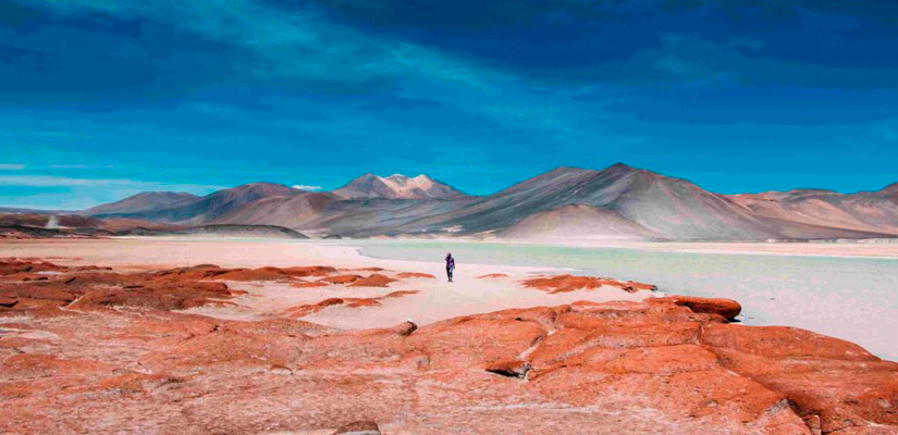 Desierto de Atacama Howlanders
