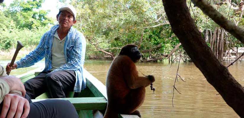 Iquitos monkey biodiversity