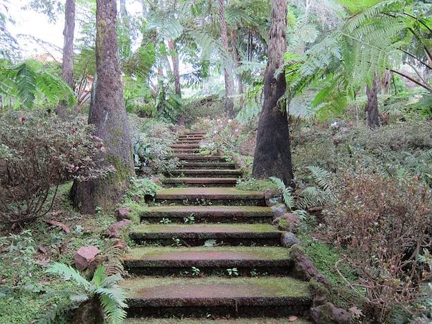 Stairs in Lost City Colombia