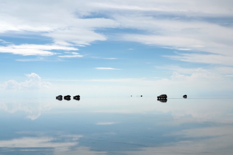 cars reflected in the water of the salar
