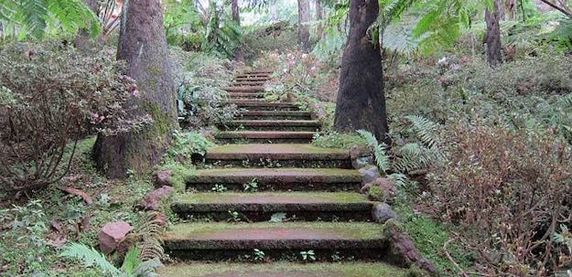 stairs in the nature with access to lost city